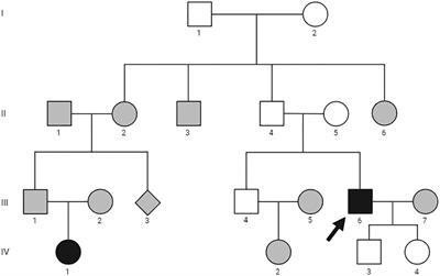 The challenge of the differential diagnosis between brown tumors and metastases in parathyroid carcinoma: a case report